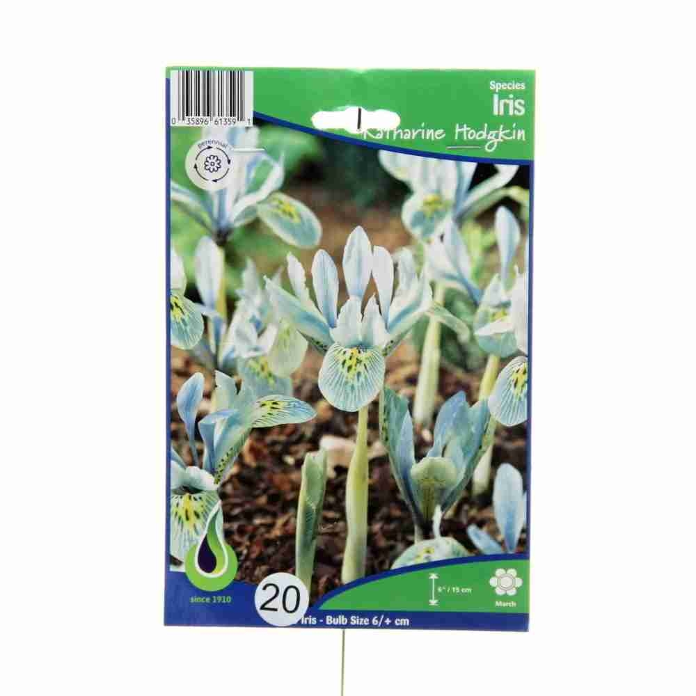 Kosatce - Kosatec 'Katharine Hodgkin' 20ks