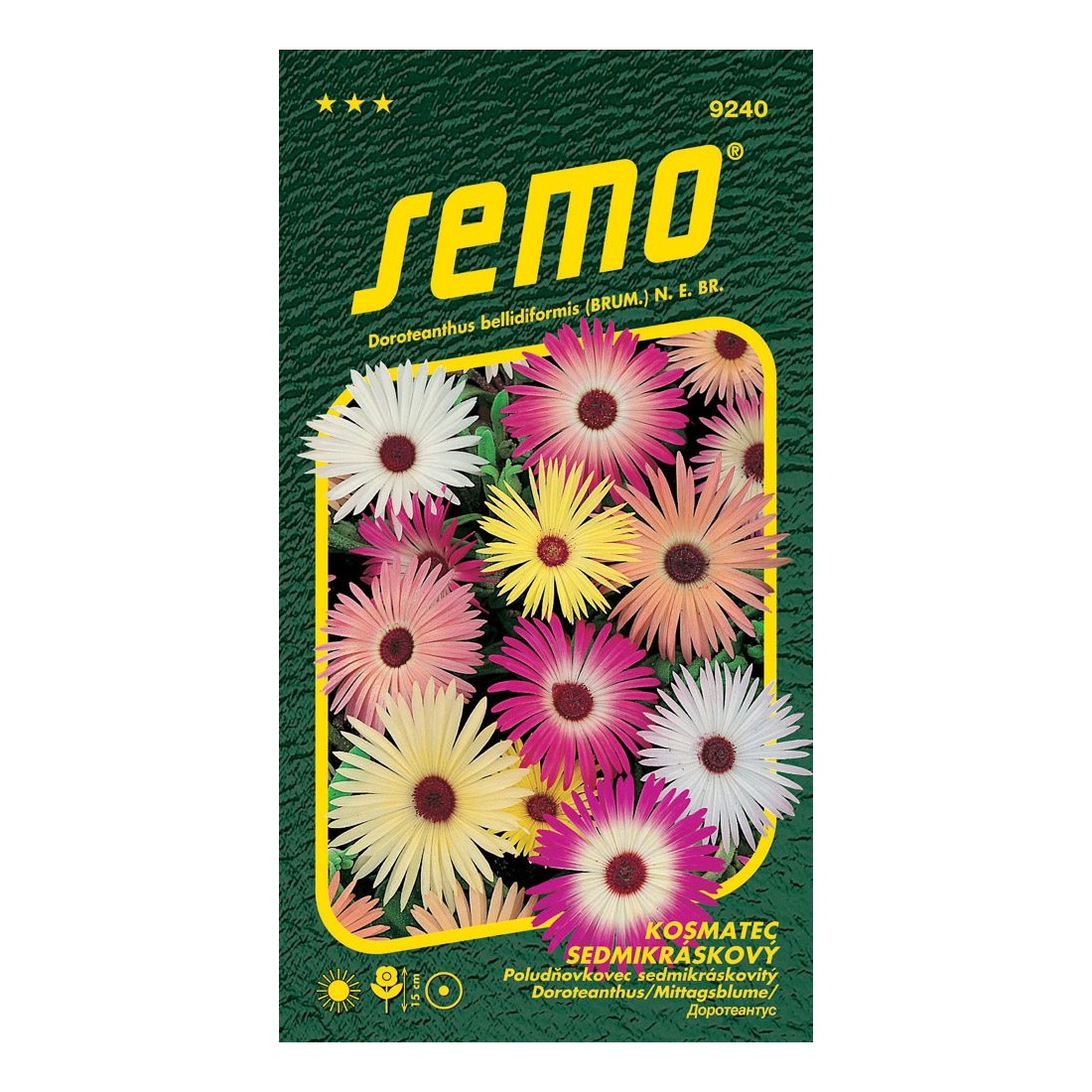 Osivo letniček - Kosmatec sedmikráskovitý směs