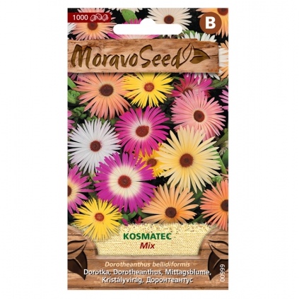 Osivo letniček - Kosmatec směs (MS)