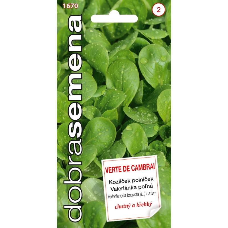 Osivo zeleniny - Kozlíček polníček (DS)