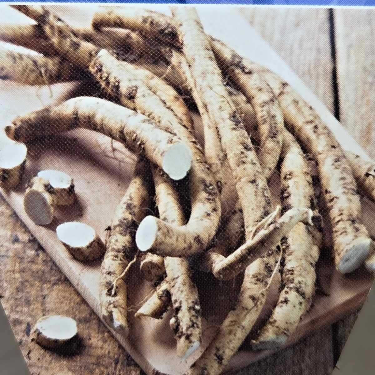 Bylinky - Křen selský Vitara květináč 12cm