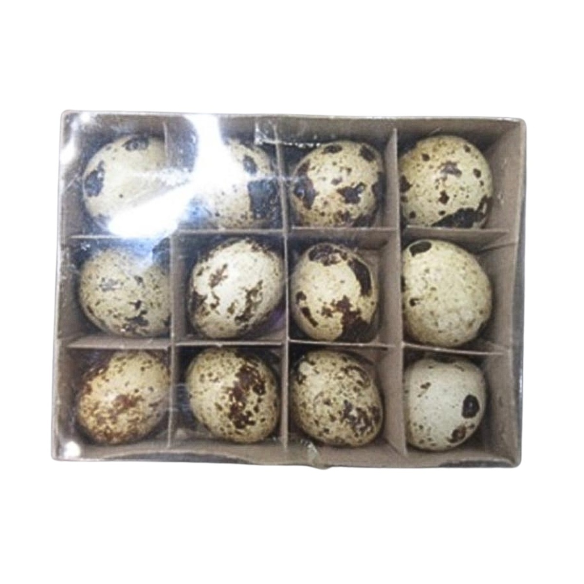 Velikonoční ozdoby - Křepelčí vajíčka 12ks