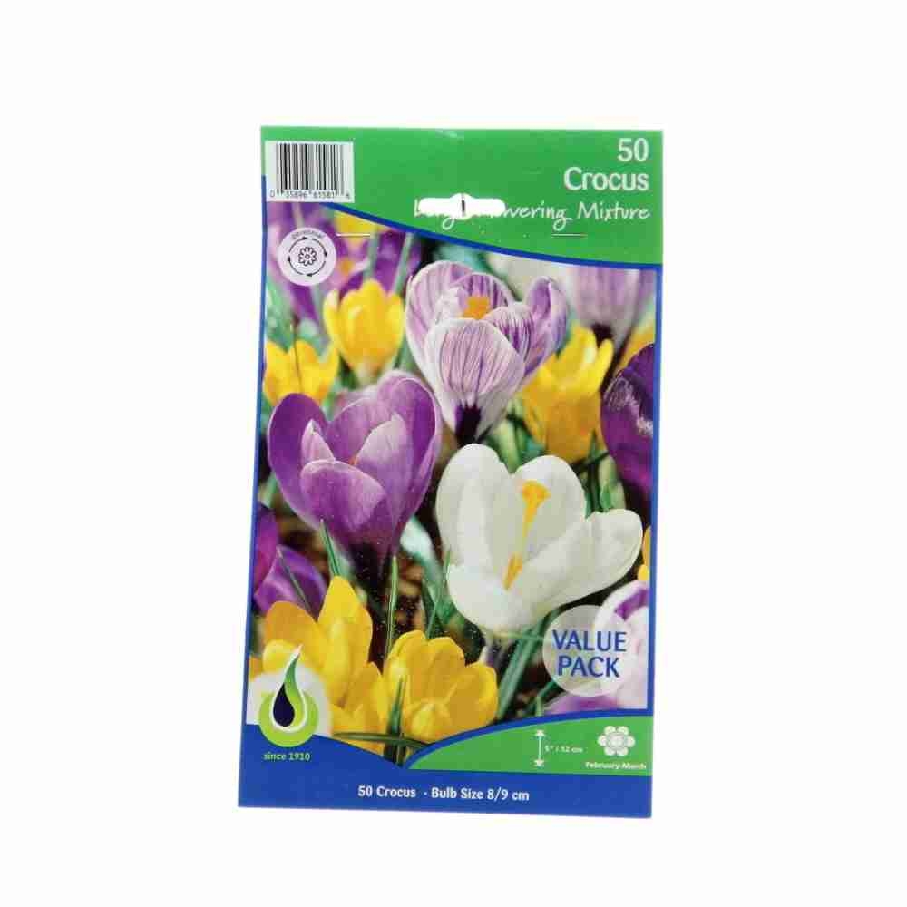 Krokusy - Krokus Large Flowering mix 50ks
