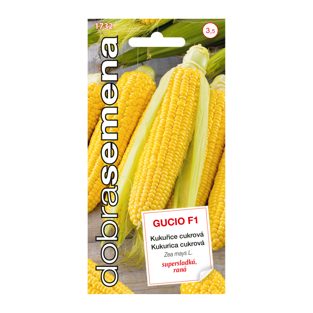 Osivo zeleniny - Kukuřice cukrová Gucio F1 (DS)