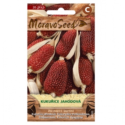 Osivo letniček - Kukuřice jahodová multicolor (MS)