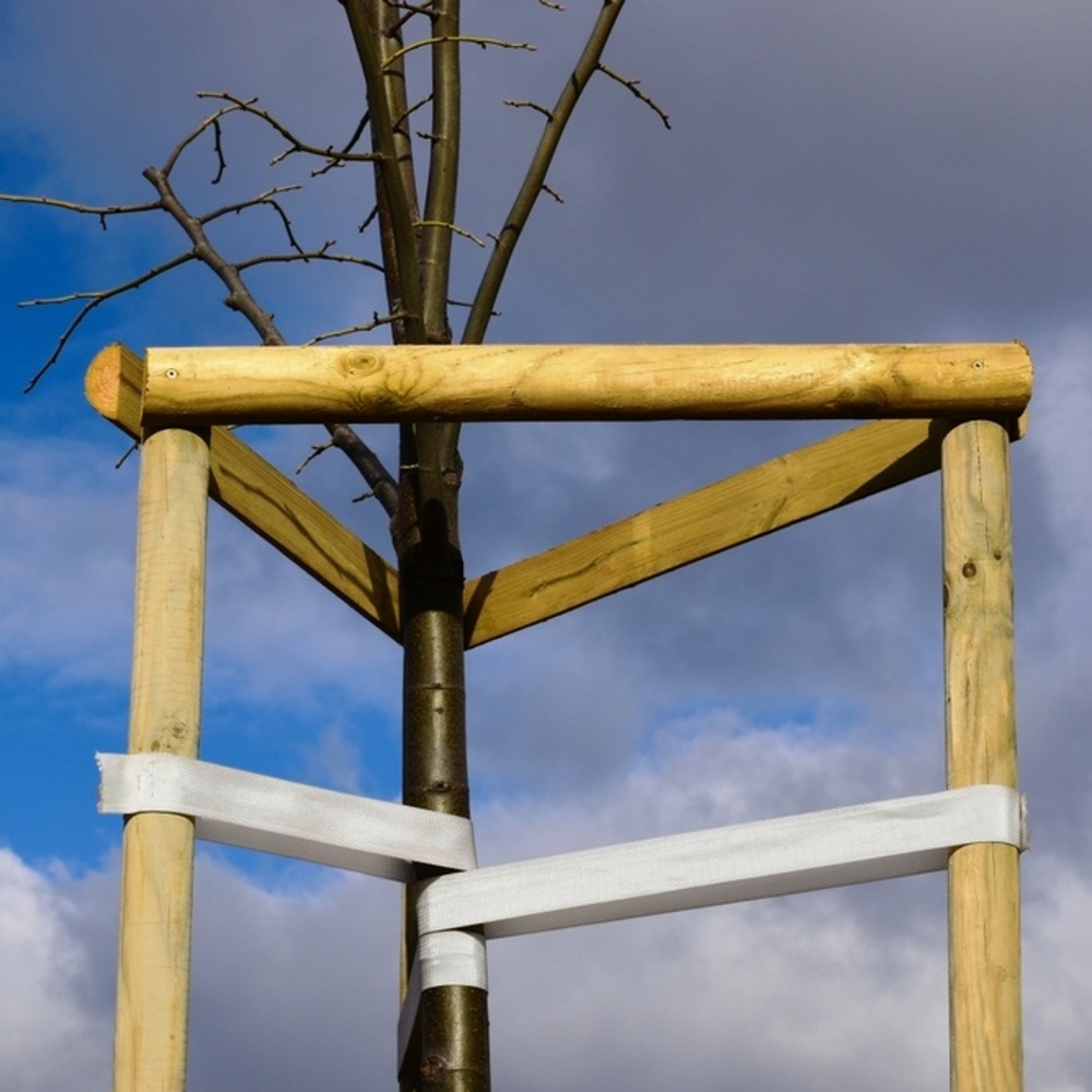 Kůl opěrný dřevěný přírodní 250/6cm-0