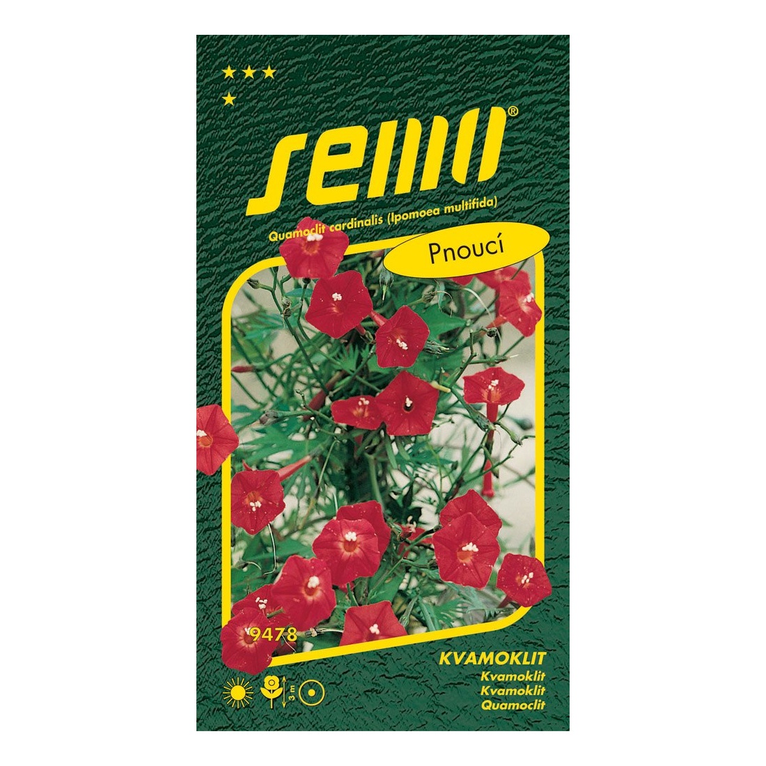 Osivo letniček - Kvamoklit Kardinál