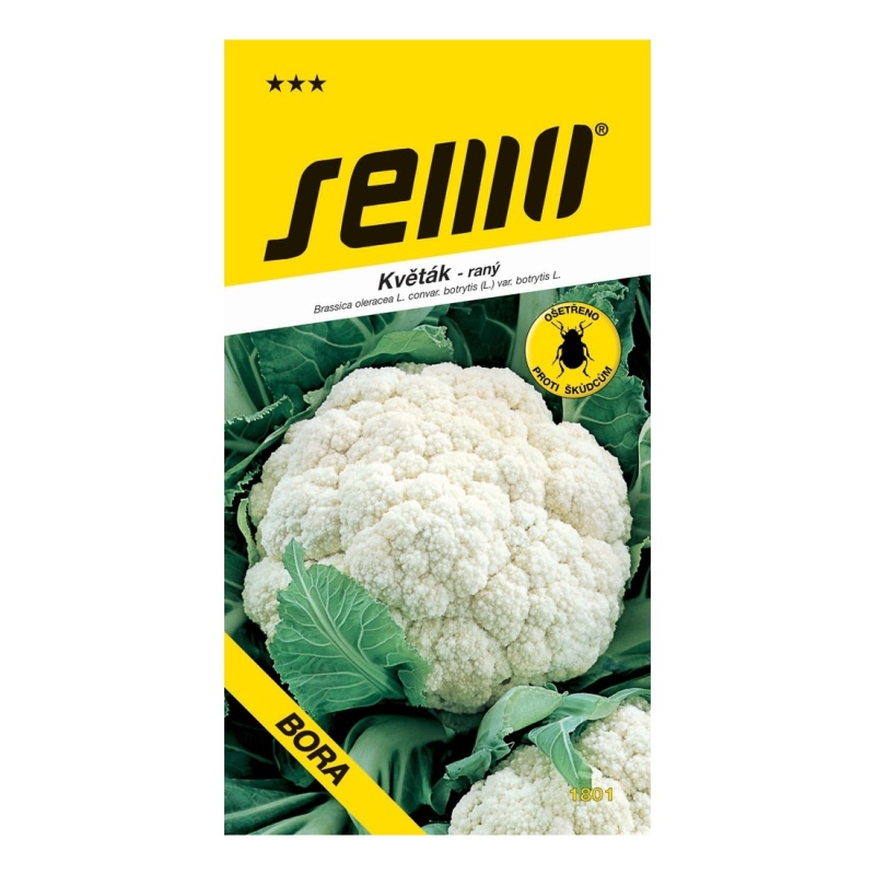 Osivo zeleniny - Květák jarní Bora raný