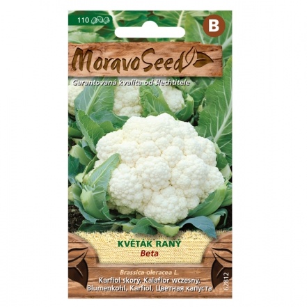 Osivo zeleniny - Květák raný BETA (MS)