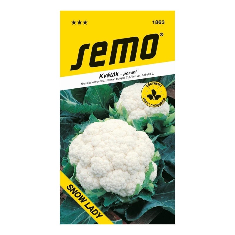 Osivo zeleniny - Květák Snow Lady