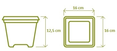Květináč Begonia 16cm terakota-0