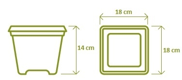Květináč Begonia 18cm terakota-0