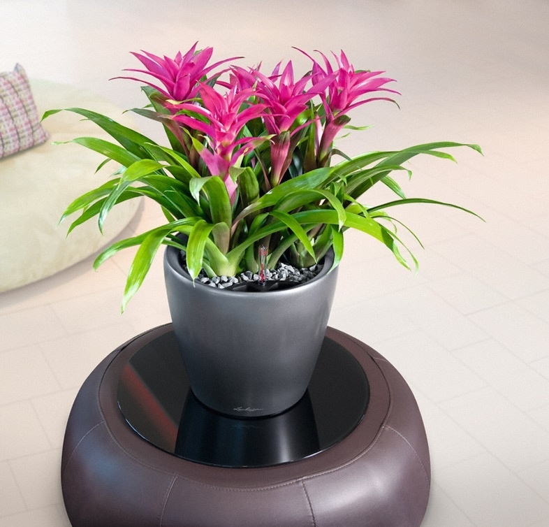 Květináč CLASSICO LS komplet set 28cm černá-4