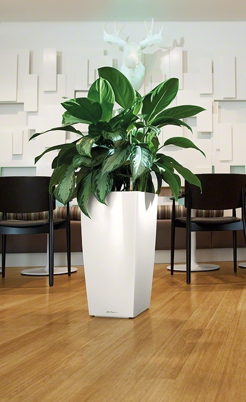 Květináč CUBICO komplet set 22cm antracit-2