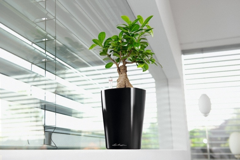 Květináč DELTINI komplet set 14cm taupe-3