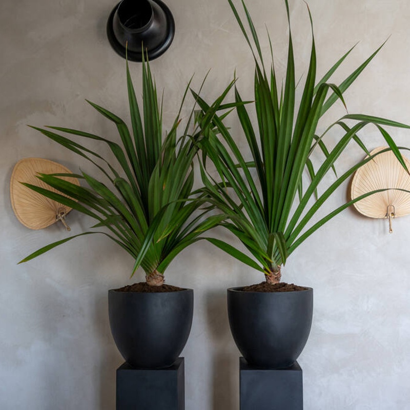 Květináč kulatý JESSLYN XS fiberstone černý 42cm-0