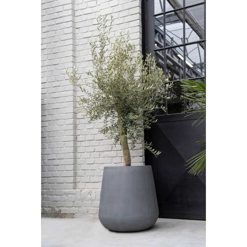 Květináč kulatý PAX XL fiberstone šedý 66cm-0