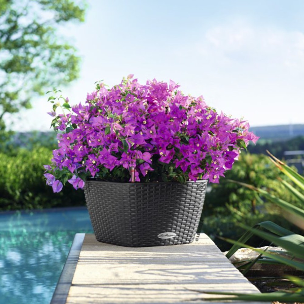 Květináč Lechuza BACINO Cottage žulová šeď set 30x30cm-3