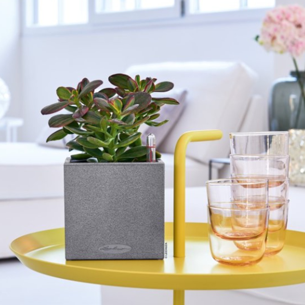 Květináč Lechuza CANTO Stone šedý set 14cm-1
