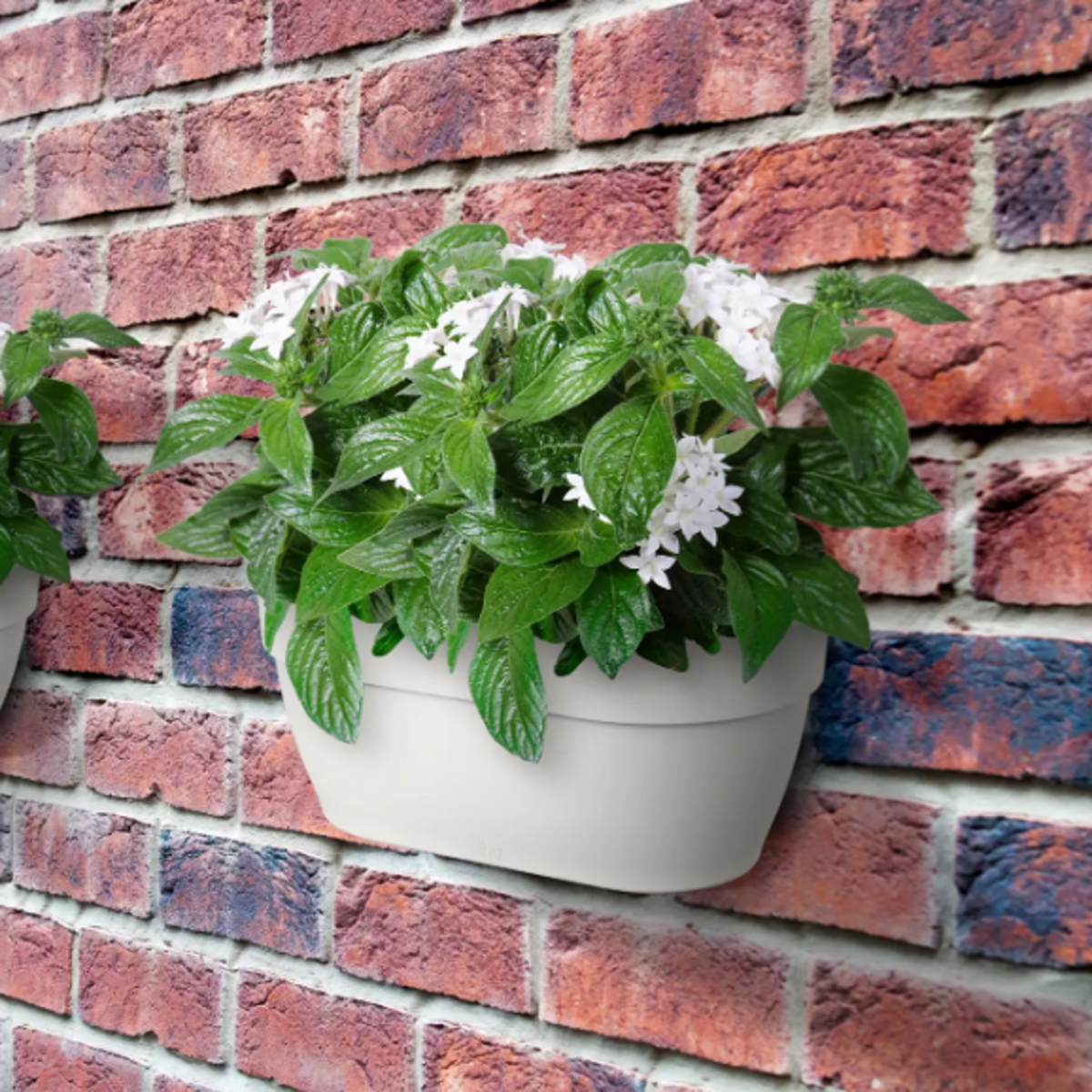 Květináč plastový ELHO Vibia Campana Wall Basket bílý 34,5cm-0