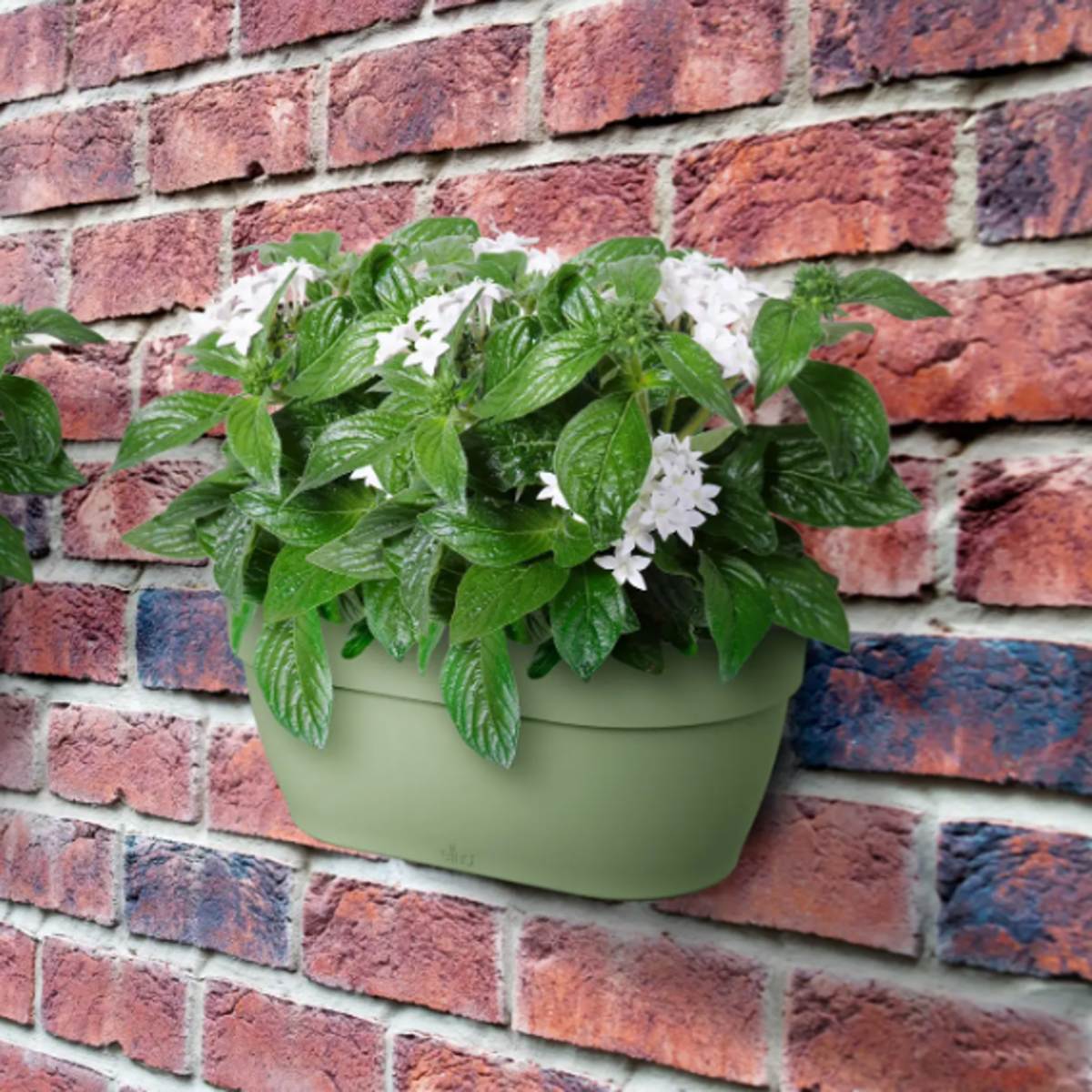 Květináč plastový ELHO Vibia Campana Wall Basket pistáciový 34,5cm-0