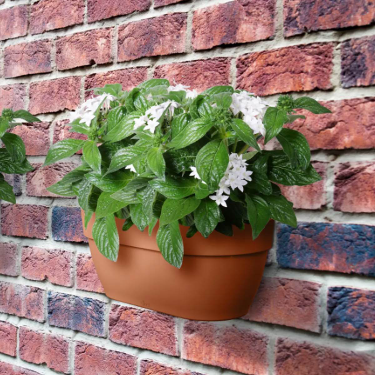 Květináč plastový ELHO Vibia Campana Wall Basket terakotový 34,5cm-0