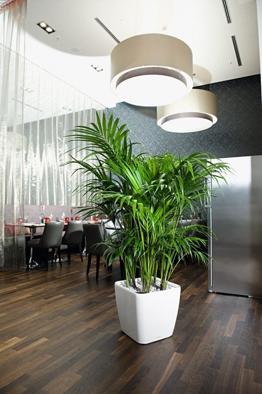 Květináč QUADRO LS komplet set 21cm antracit-0