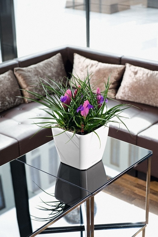 Květináč QUADRO LS komplet set 35cm antracit-0