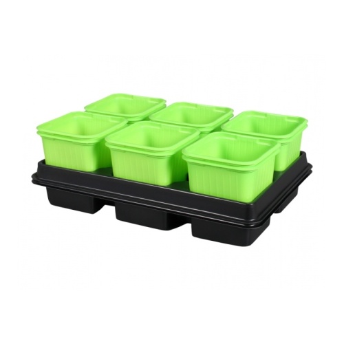 Předpěstování - Květináč sadbový GREEN s podmiskou 2x6ks plast