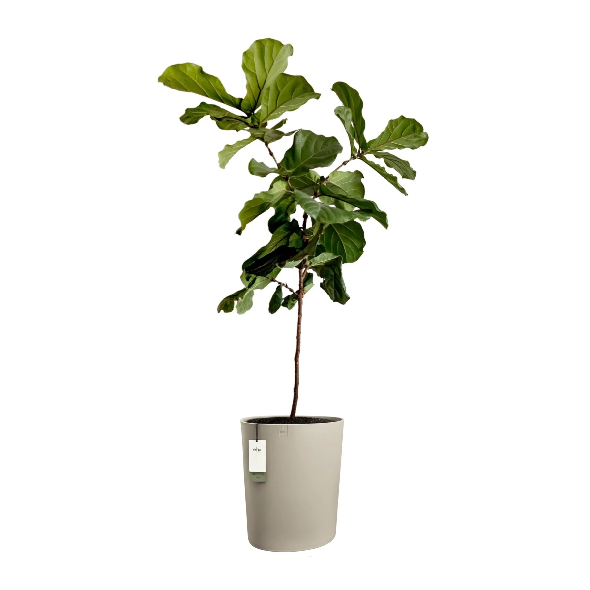 Květináč samozavlažovací ELHO Eden Aquacare High taupe 50x43x39cm-1