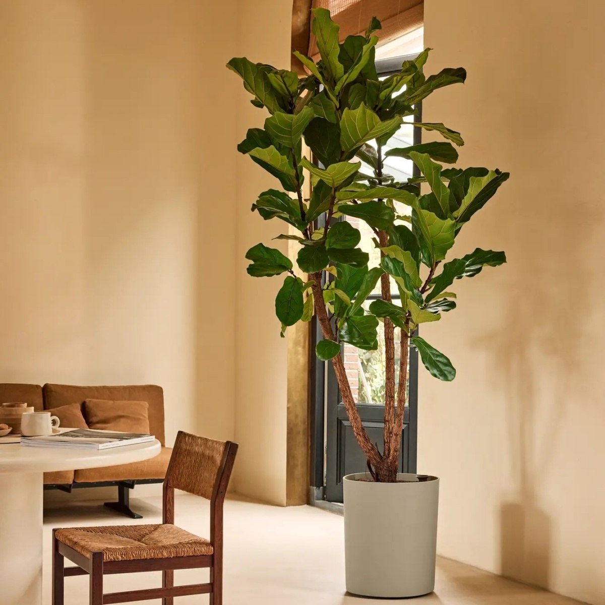 Květináč samozavlažovací ELHO Eden Aquacare High taupe 50x43x39cm-2