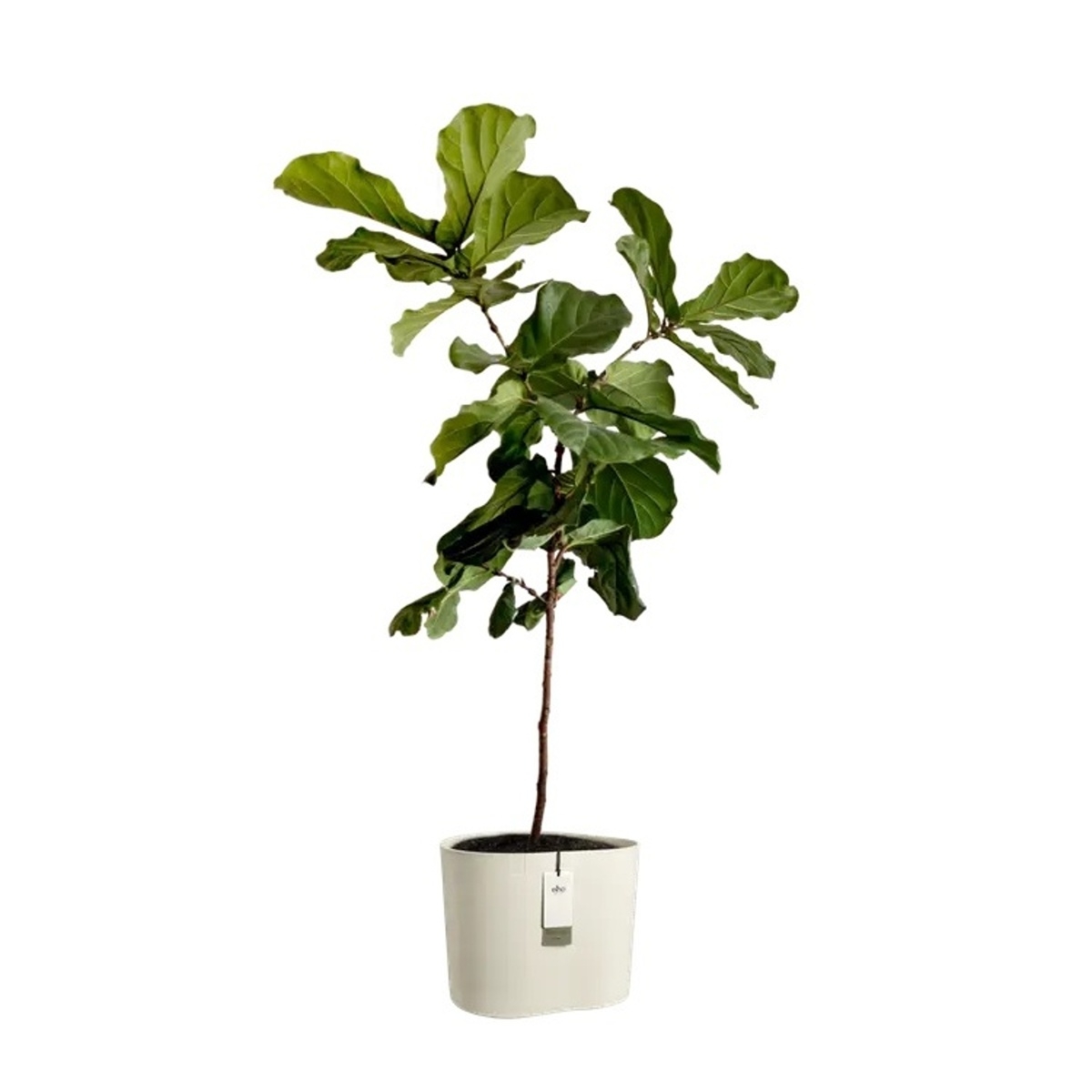 Květináč samozavlažovací ELHO Eden Aquacare Low bílý 35x44x40cm-1