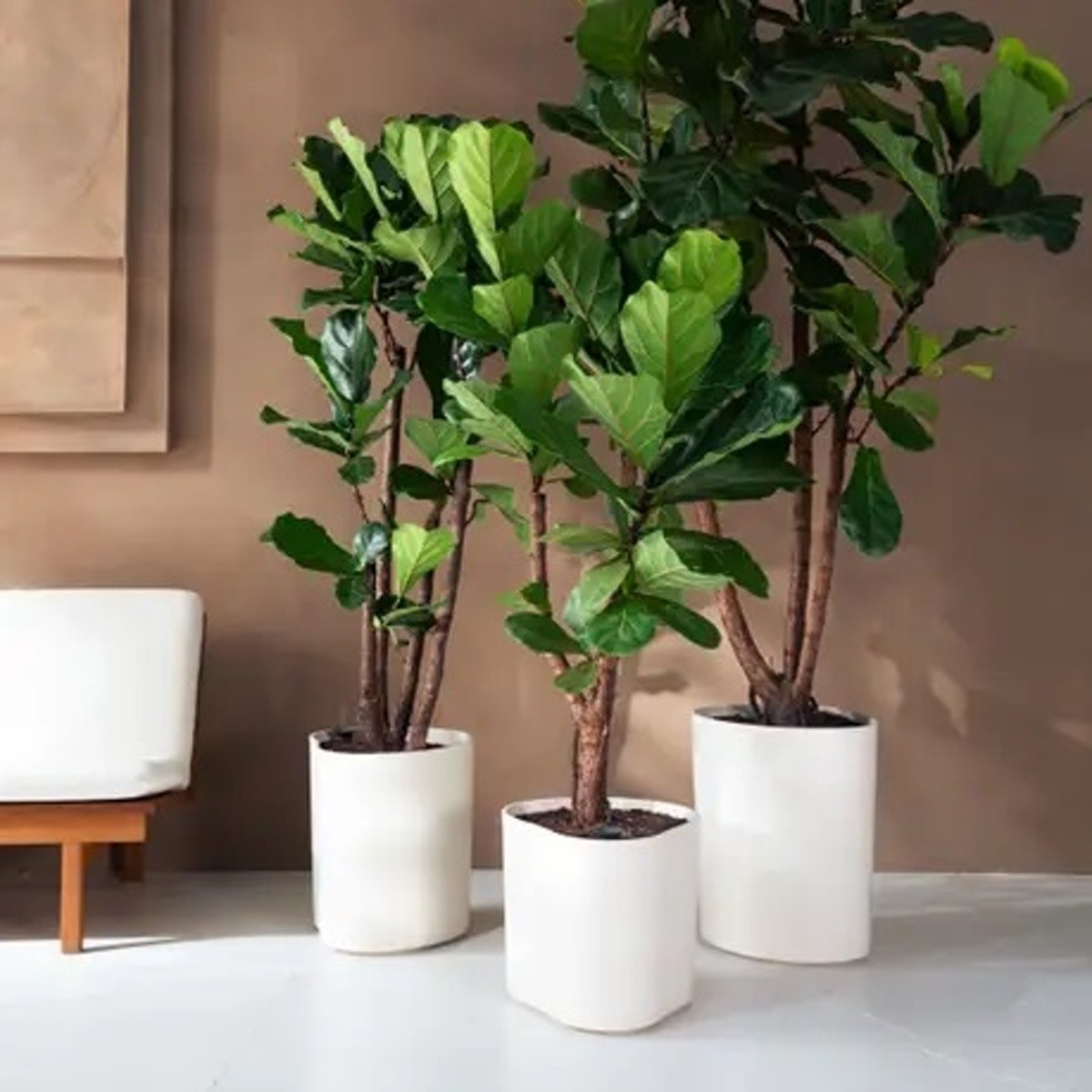 Květináč samozavlažovací ELHO Eden Aquacare Low bílý 35x44x40cm-2