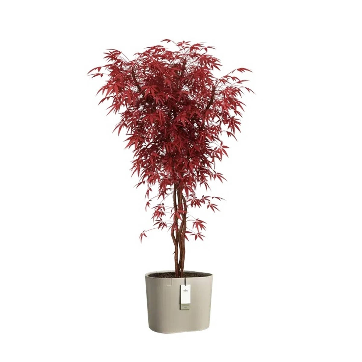 Květináč samozavlažovací ELHO Eden Aquacare Low taupe 35x44x40cm-1