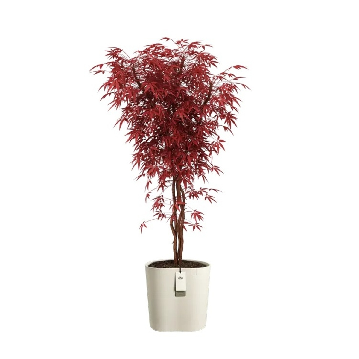 Květináč samozavlažovací ELHO Eden Aquacare Medium bílý 42x42x38cm-1