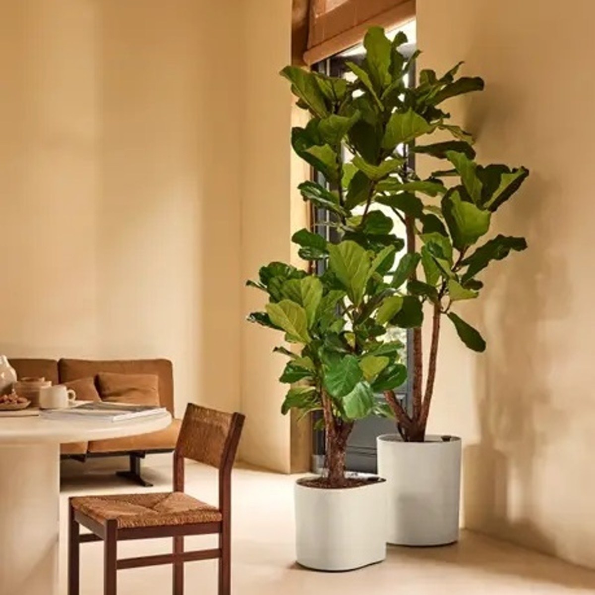 Květináč samozavlažovací ELHO Eden Aquacare Medium bílý 42x42x38cm-2