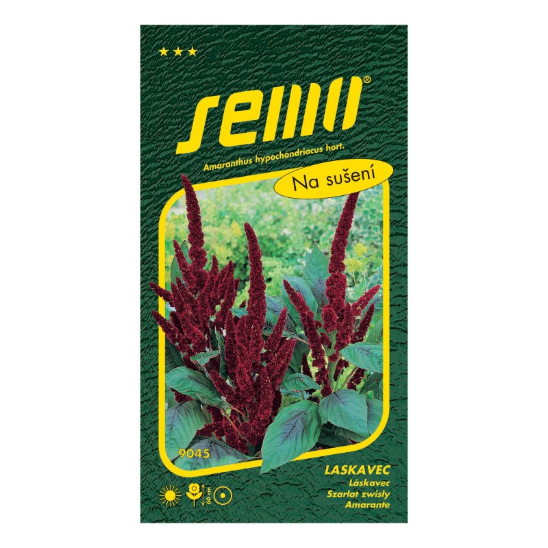 Laskavec ocasatý Pygmy torch červený-0