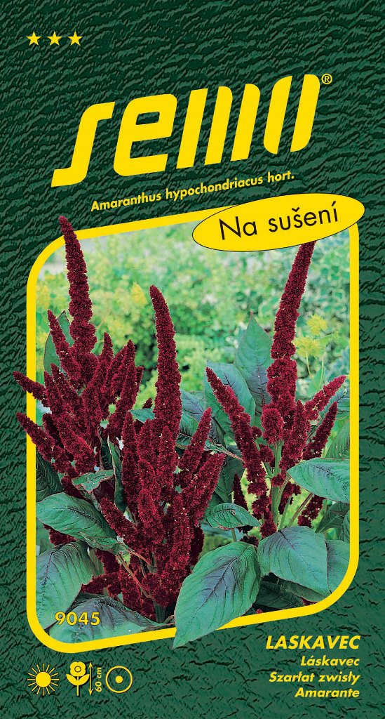 Osivo letniček - Laskavec ocasatý Pygmy torch červený