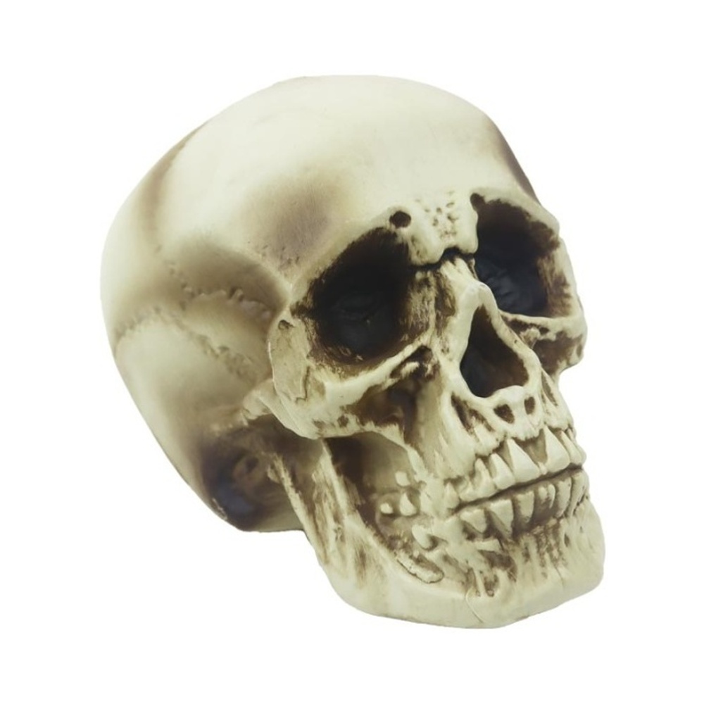 Halloween - Lebka plastová bílo-černá 16cm