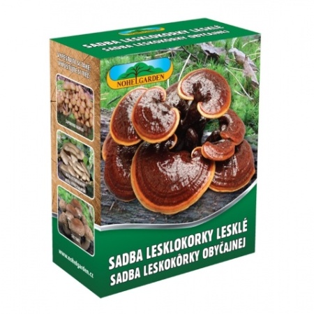 Houby - Lesklokorka lesklá sadba 250ml