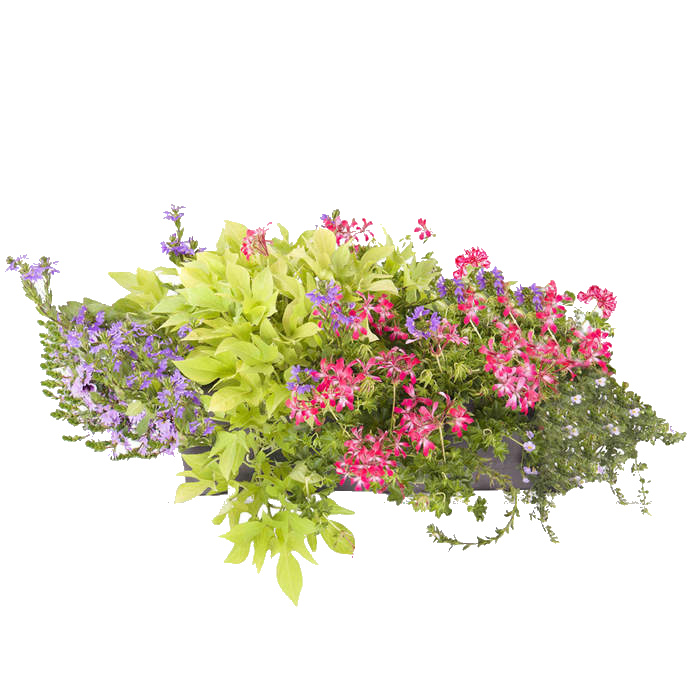 880011806.jpg