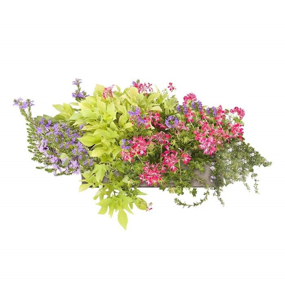 Květinové truhlíky - Léto bez starostí Lechuza