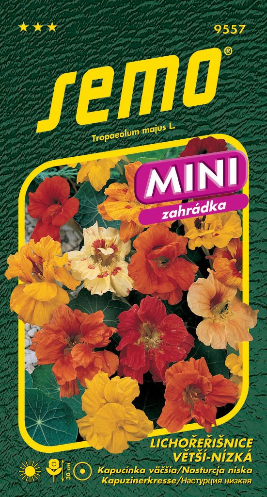 Osivo letniček - Lichořeřišnice větší Bijou Double nízká MINI