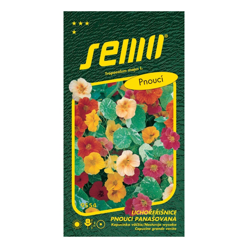 Lichořeřišnice větší Out of Africa pnoucí-0