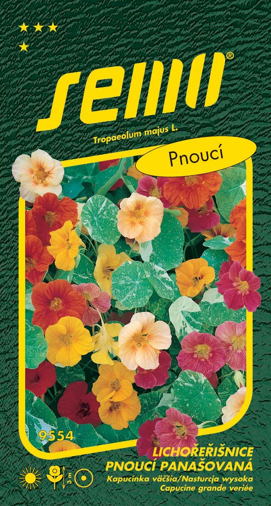 Osivo letniček - Lichořeřišnice větší Out of Africa pnoucí