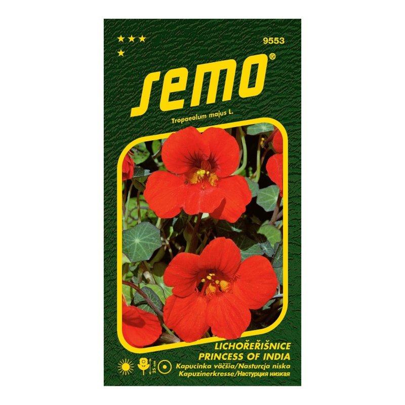 Lichořeřišnice větší Princess of India-0