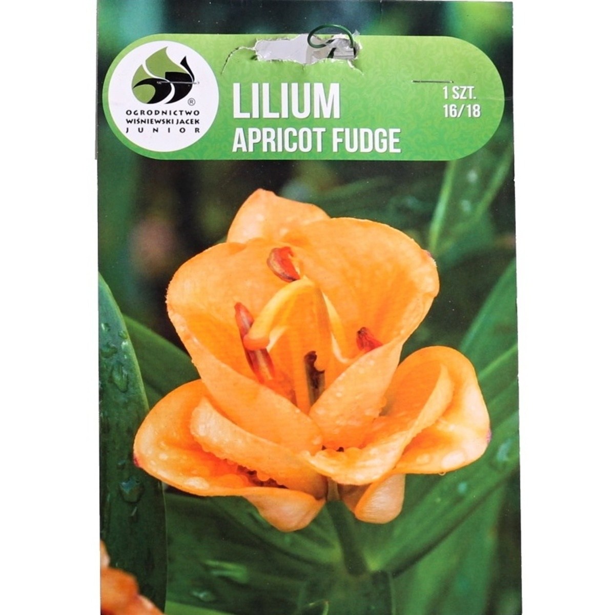 Lilie - Lilie Apricot Fudge 1ks