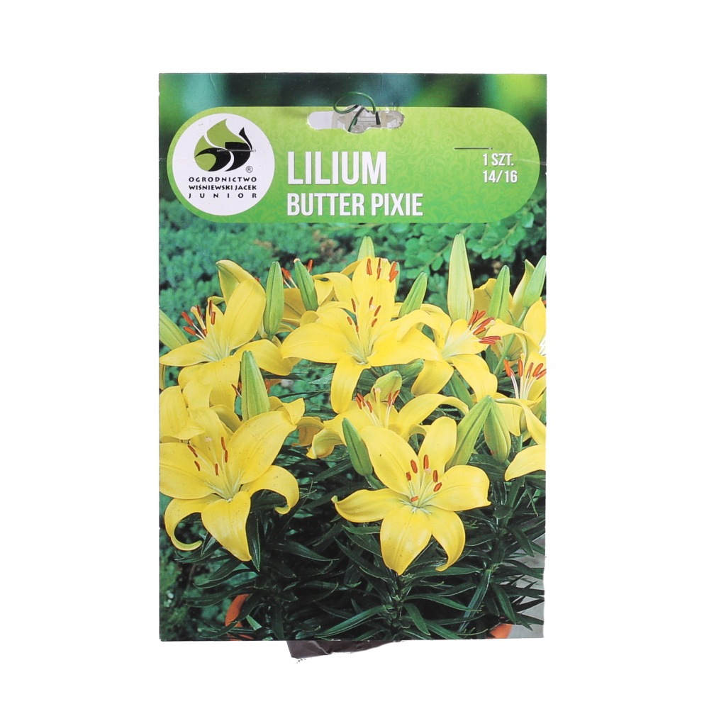 Lilie - Lilie Butter Pixie 1ks