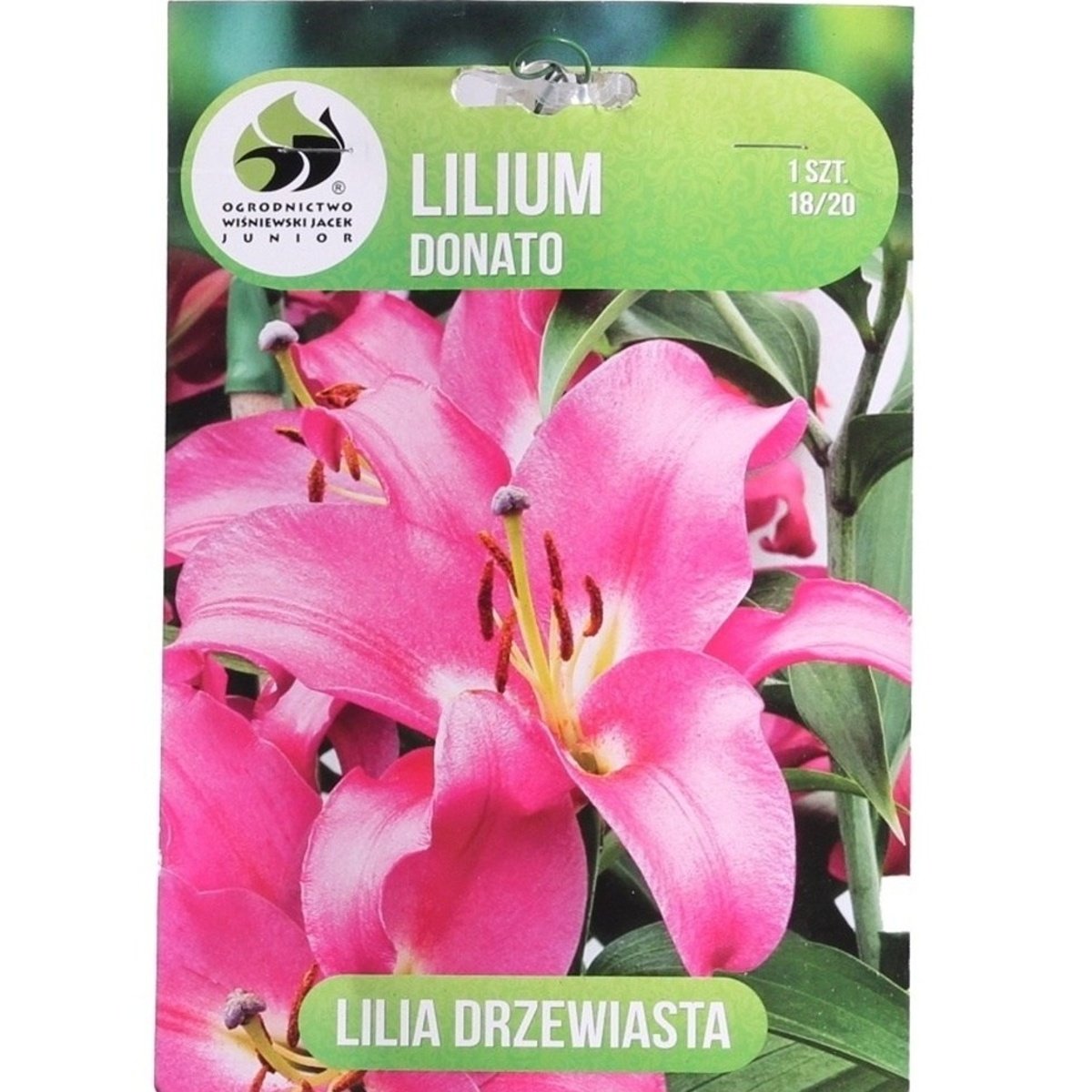 Lilie - Lilie Donato 1ks