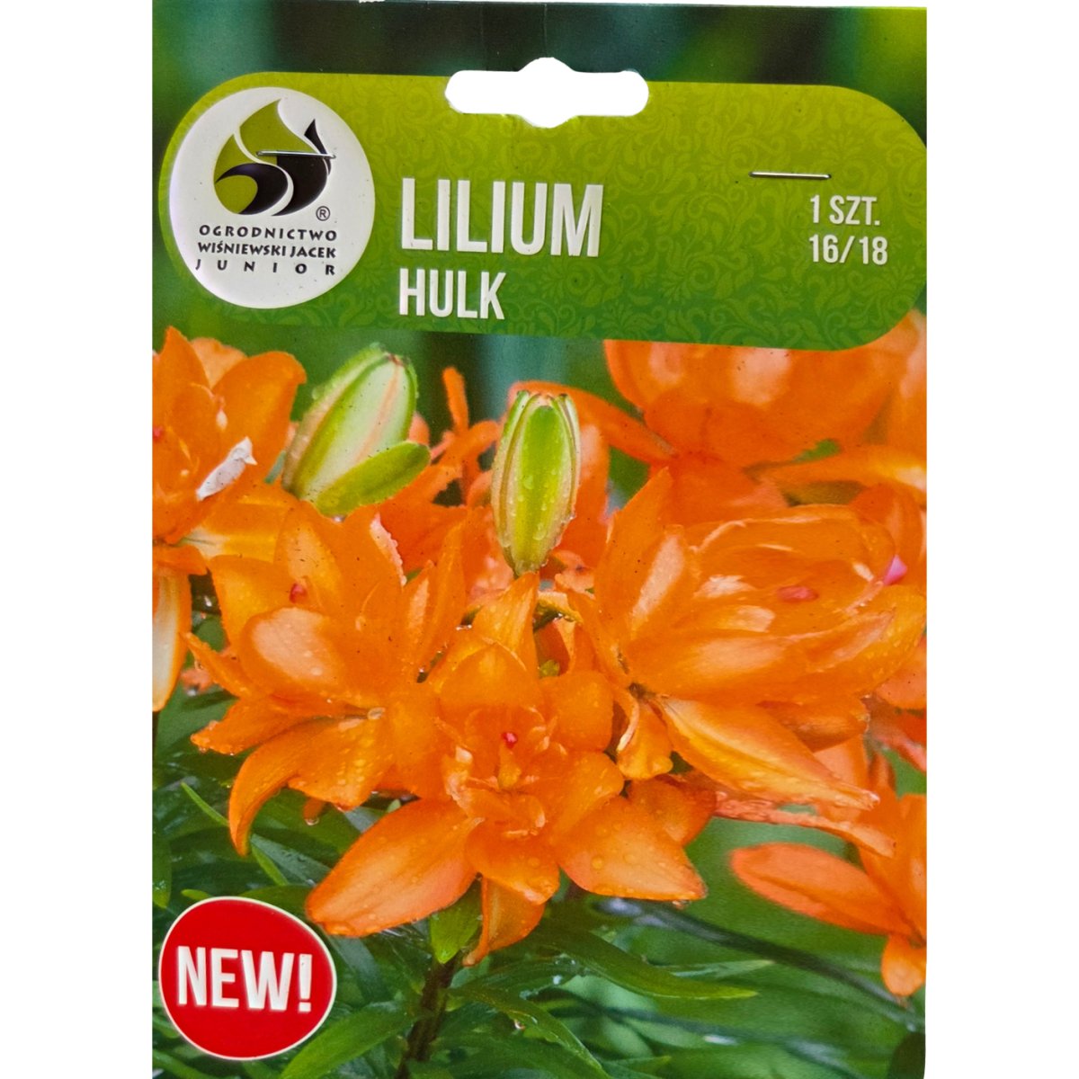 Lilie - Lilie Hulk 1ks